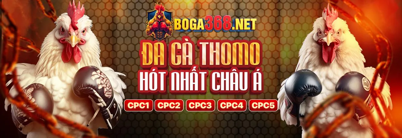Đá gà trực tuyến aa88 game